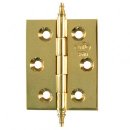 Zawias mosiężny lakierowany 50x40mm splatany mod. 1003 EAN
