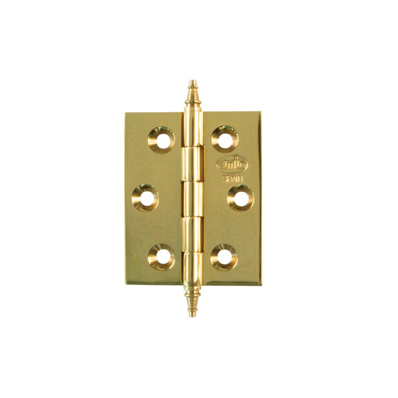 Zawias mosiężny lakierowany 50x40mm splatany mod. 1003