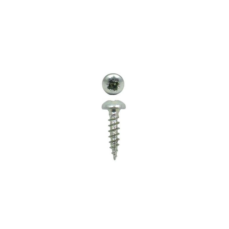 Wkręty 2,5x10mm cynkowane łeb walcowy PZ 42szt.
