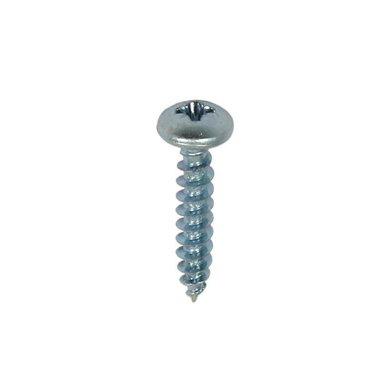 Wkręty 4,5x25mm cynkowane łeb walcowy PZ 16szt.