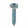 Wkręty 4,5x25mm cynkowane łeb walcowy PZ 16szt.