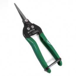 Sekator do owoców i warzyw 18cm zielony mod.1511