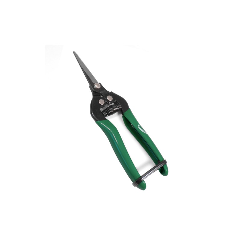 Sekator do owoców i warzyw 18cm zielony mod.1511