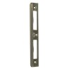 Zaczep kątowy 170x22x8mm złoto antyczne ALFA i BETA