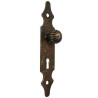 Gałka z szyldem na klucz 146x30mm złoto antyczne mod.102 EAN