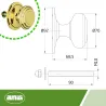 Gałka drzwiowa stała mod. 13 śr. 76mm pełna mosiądz lakierowany